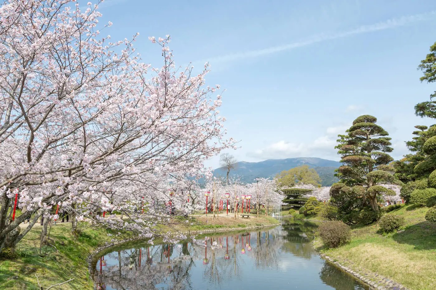 🌸 오기 공원(오기코엔) 이미지 9